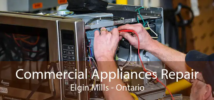 Commercial Appliances Repair Elgin Mills - Ontario