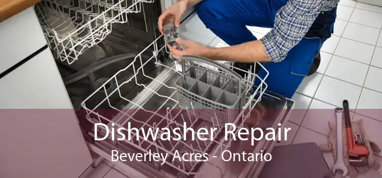 Dishwasher Repair Beverley Acres - Ontario