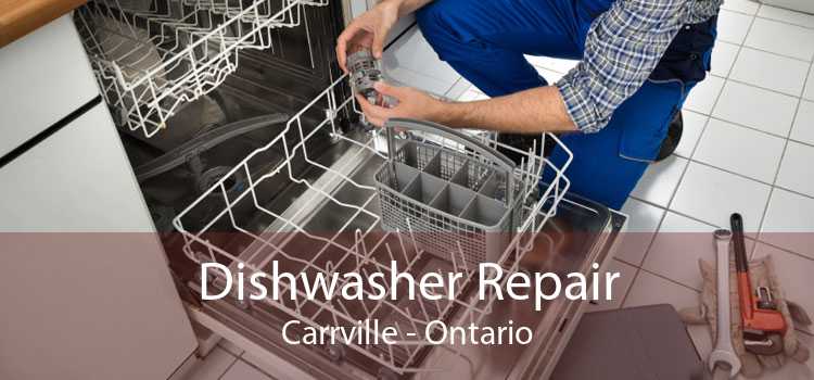 Dishwasher Repair Carrville - Ontario