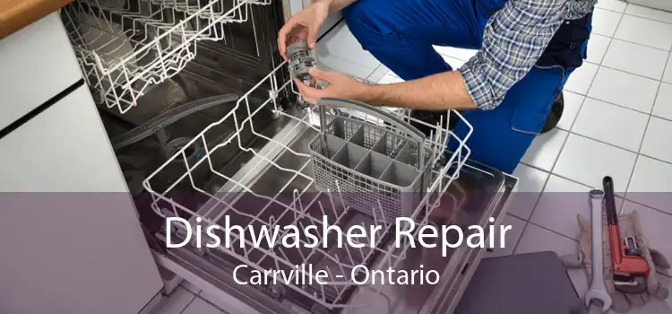 Dishwasher Repair Carrville - Ontario