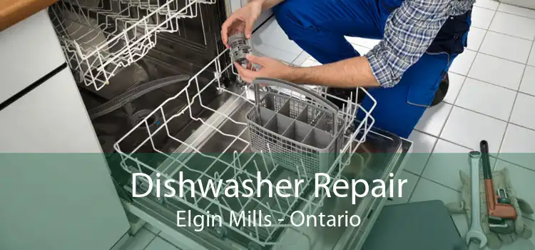 Dishwasher Repair Elgin Mills - Ontario