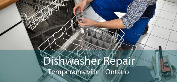 Dishwasher Repair Temperanceville - Ontario