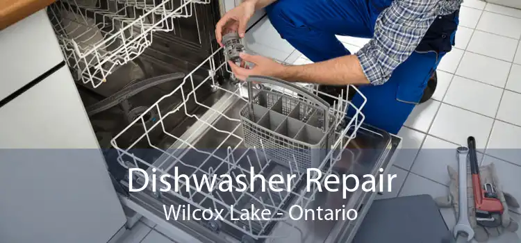 Dishwasher Repair Wilcox Lake - Ontario