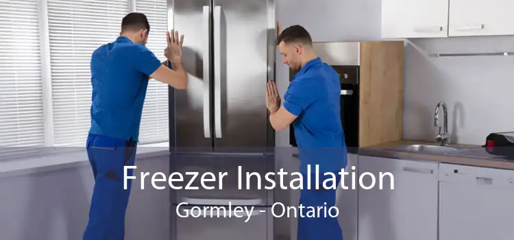 Freezer Installation Gormley - Ontario