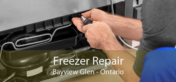 Freezer Repair Bayview Glen - Ontario