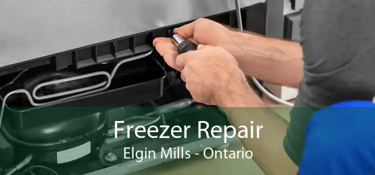 Freezer Repair Elgin Mills - Ontario