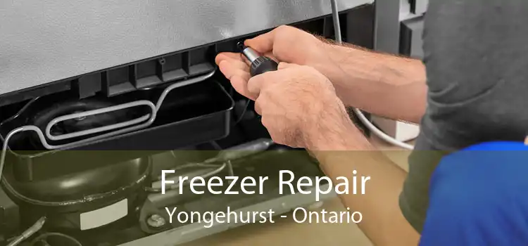 Freezer Repair Yongehurst - Ontario