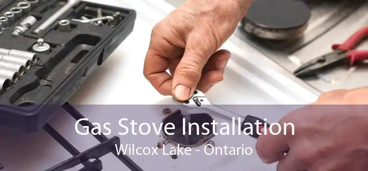 Gas Stove Installation Wilcox Lake - Ontario