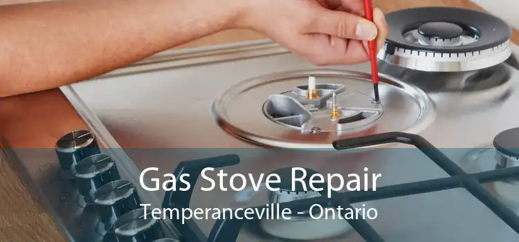 Gas Stove Repair Temperanceville - Ontario