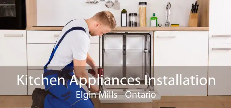 Kitchen Appliances Installation Elgin Mills - Ontario