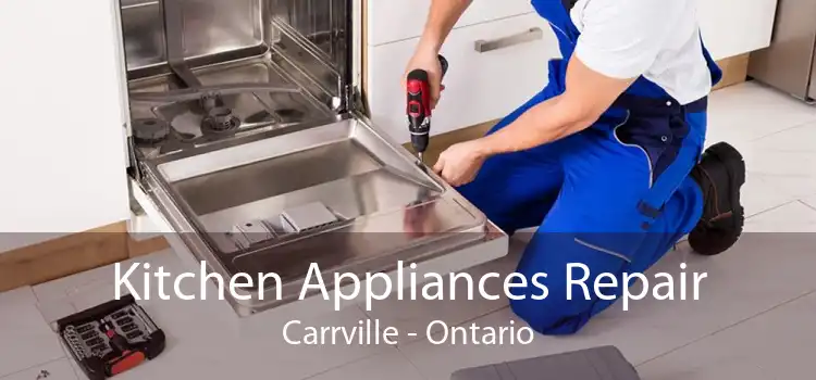 Kitchen Appliances Repair Carrville - Ontario