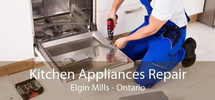 Kitchen Appliances Repair Elgin Mills - Ontario