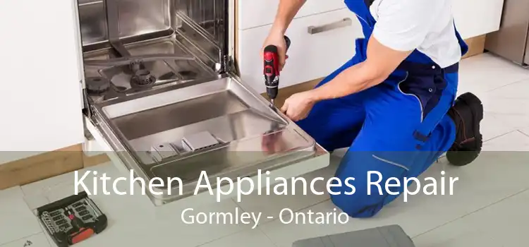 Kitchen Appliances Repair Gormley - Ontario
