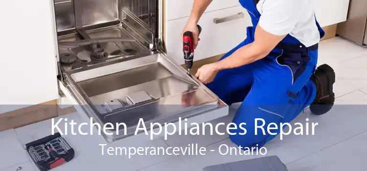 Kitchen Appliances Repair Temperanceville - Ontario