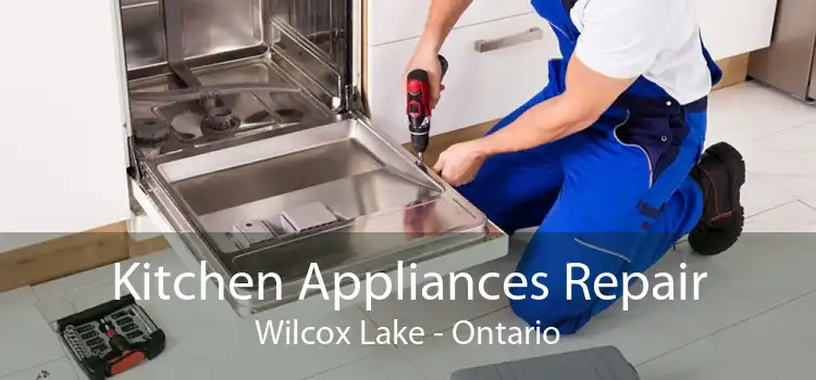 Kitchen Appliances Repair Wilcox Lake - Ontario