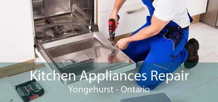 Kitchen Appliances Repair Yongehurst - Ontario