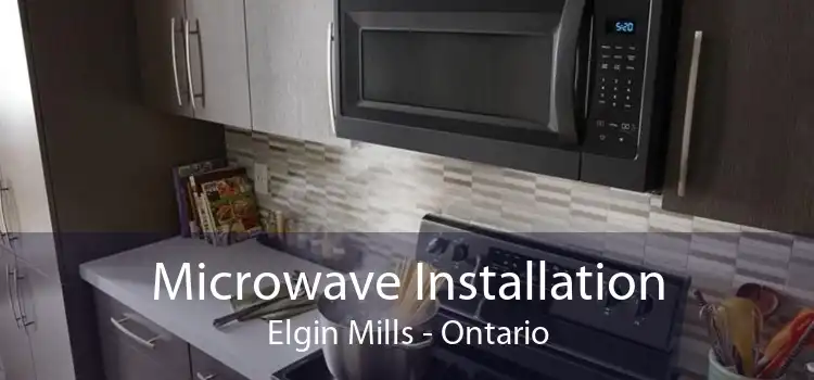 Microwave Installation Elgin Mills - Ontario