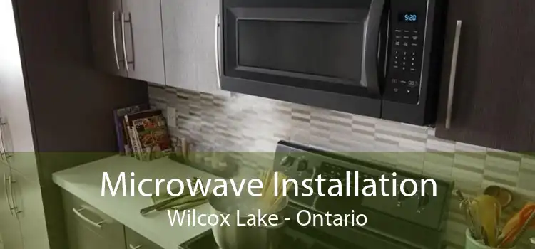 Microwave Installation Wilcox Lake - Ontario