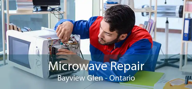 Microwave Repair Bayview Glen - Ontario