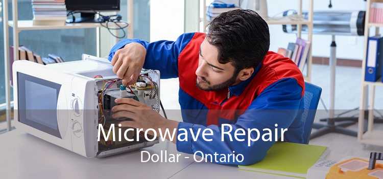 Microwave Repair Dollar - Ontario