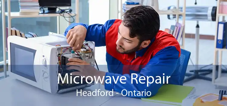 Microwave Repair Headford - Ontario