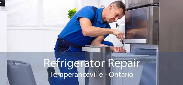 Refrigerator Repair Temperanceville - Ontario