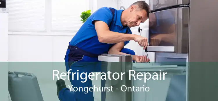 Refrigerator Repair Yongehurst - Ontario