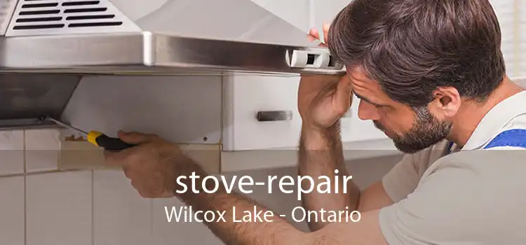 stove-repair Wilcox Lake - Ontario