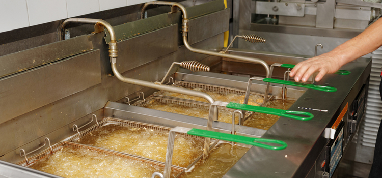 Commercial Fryer Repair in Richvale